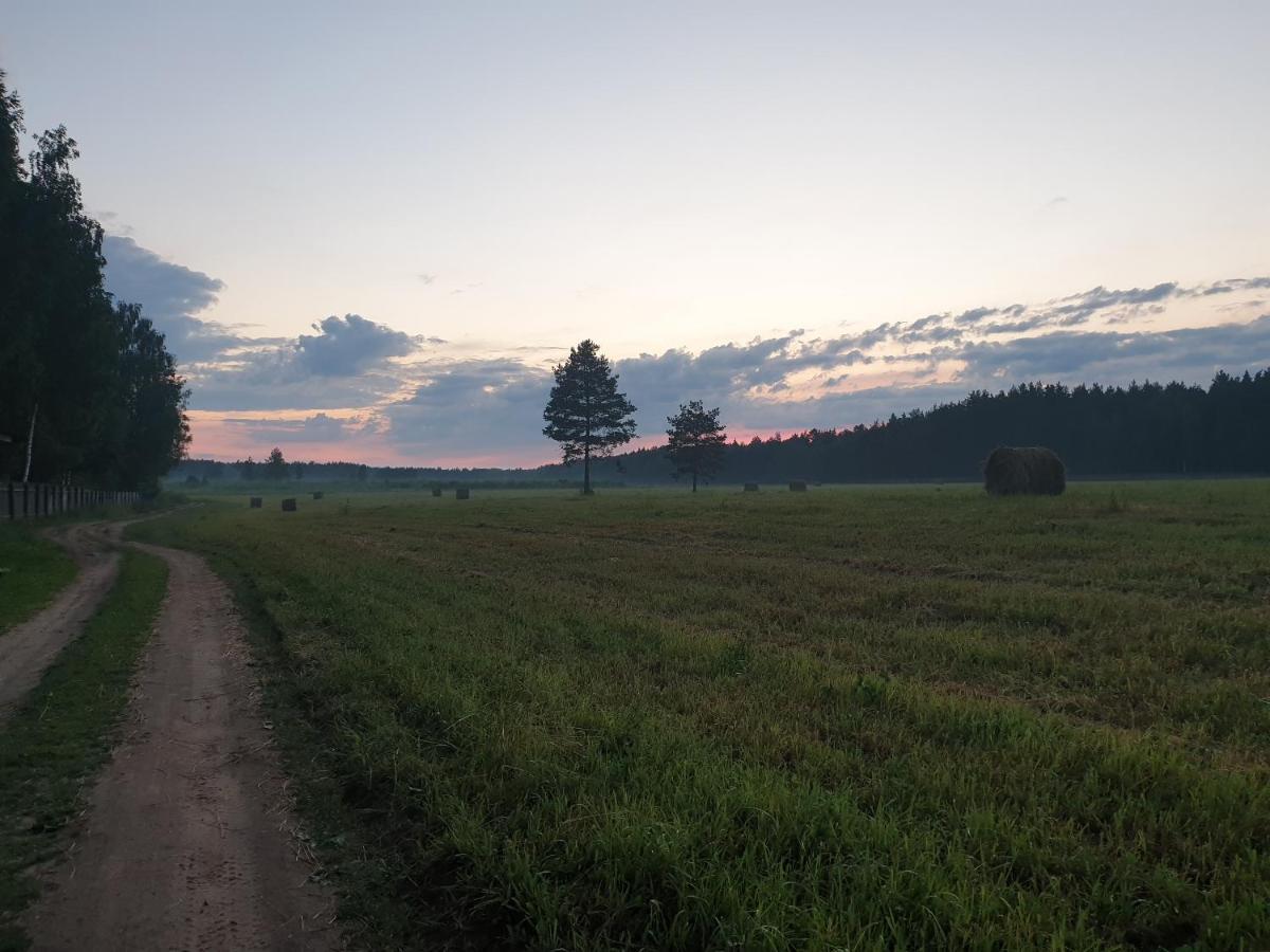 ГОСТЕВЫЕ ДОМА НА УГРЕ OZERNA (KALUGA) (Россия) | NOCHI